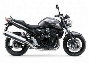 Bandit 650A Grijs